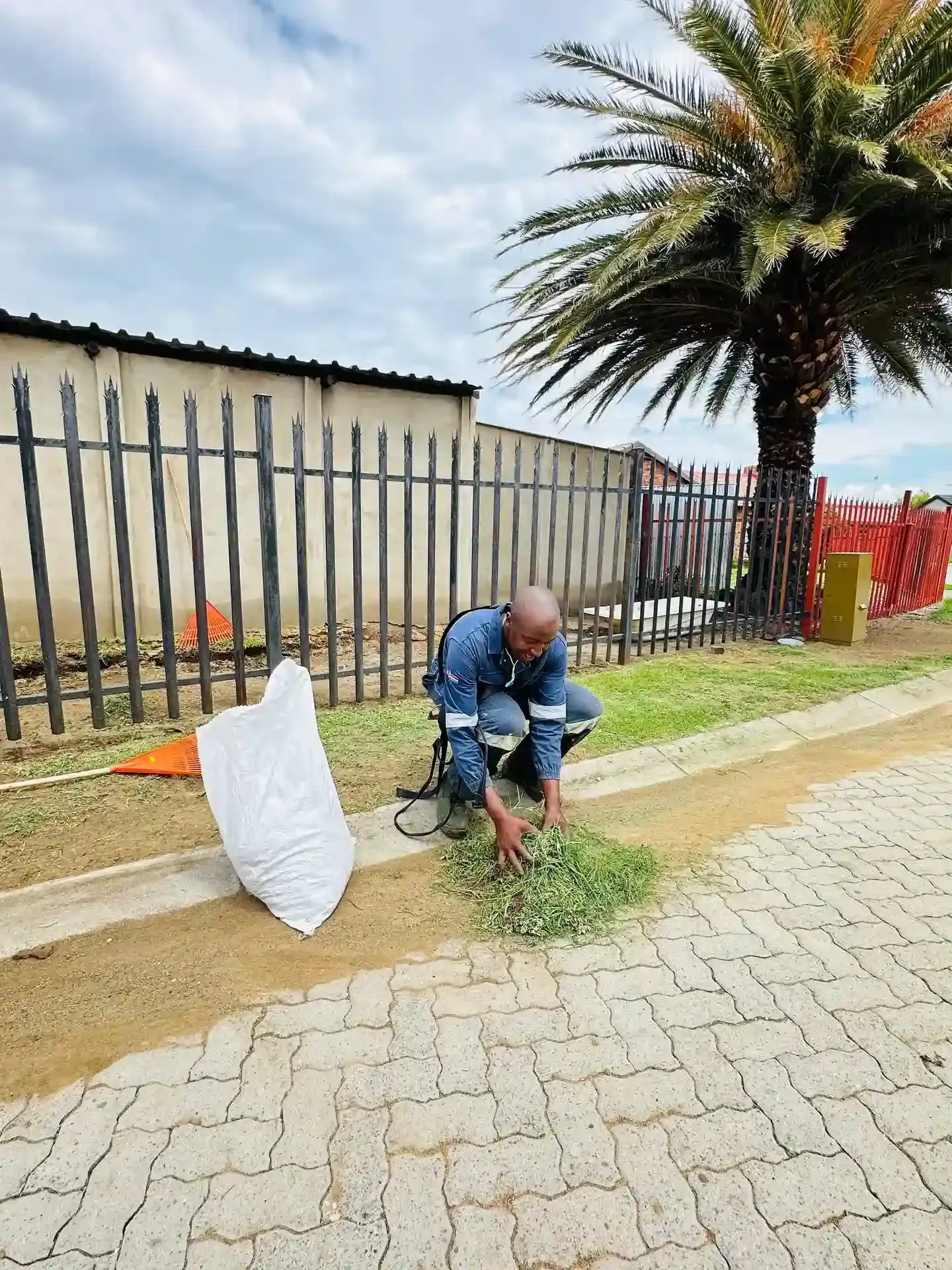 Garden care project with a well-manicured lawn